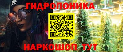 ГАЛЛЮЦИНОГЕННЫЕ ГРИБЫ Нальчик
