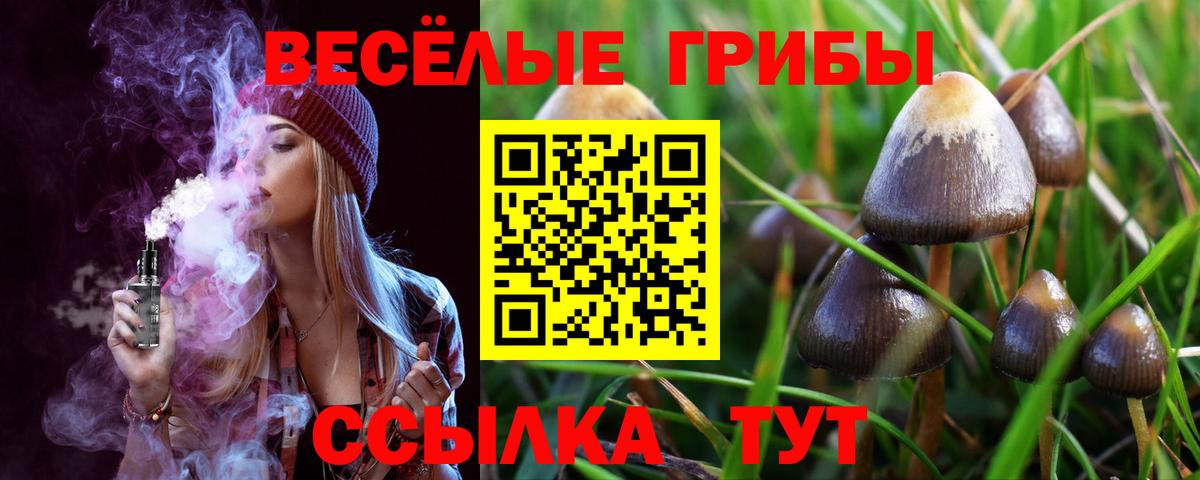 Сланцы  Псилоцибиновые грибы прущие грибы  Вход с VPN 