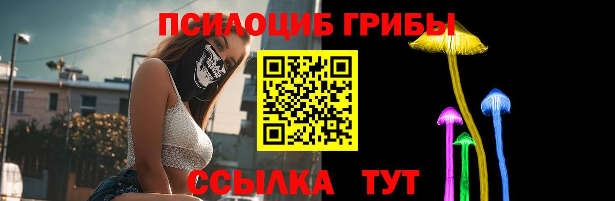 Псилоцибиновые грибы ЛСД Сланцы
